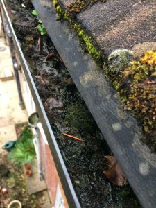 gutter clearing