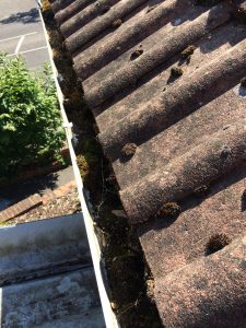 gutter clearance