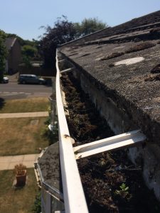 gutter cleaning