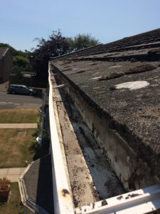 gutter cleaning