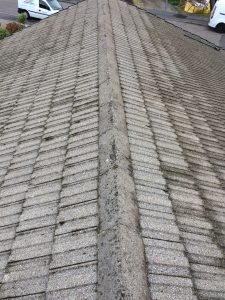 Softwash roof cleaning