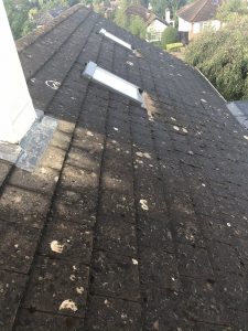 roof cleaning poole